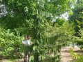 0506 0506